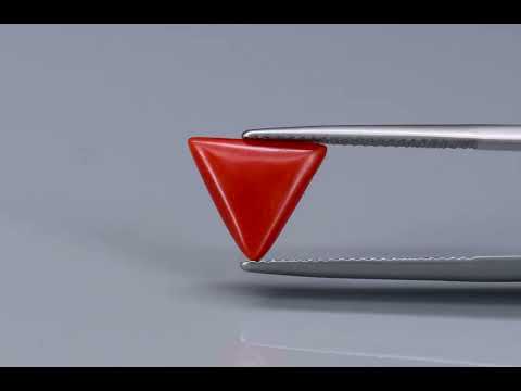 Primary video