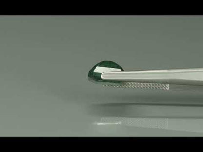 Primary video