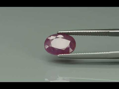 Primary video