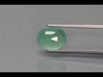 Primary video