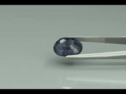 Primary video