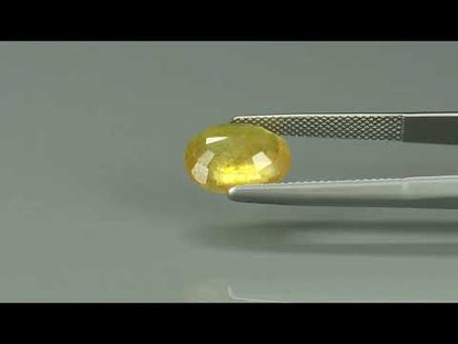 Primary video