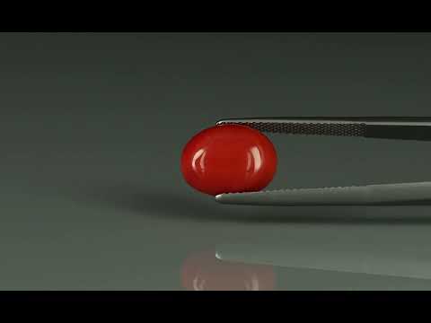 Primary video
