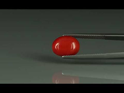 Primary video