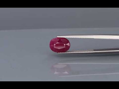 Primary video