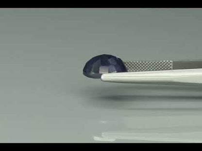 Primary video