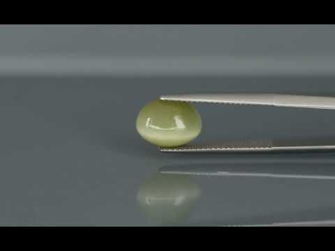 Primary video