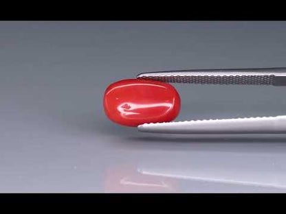 Primary video