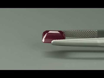 Primary video
