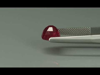 Primary video