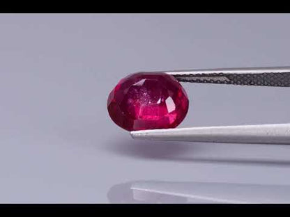 Primary video