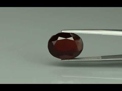 Primary video