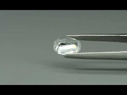 Primary video