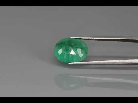 Primary video