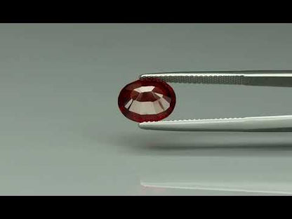 Primary video