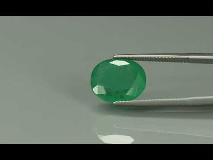 Primary video