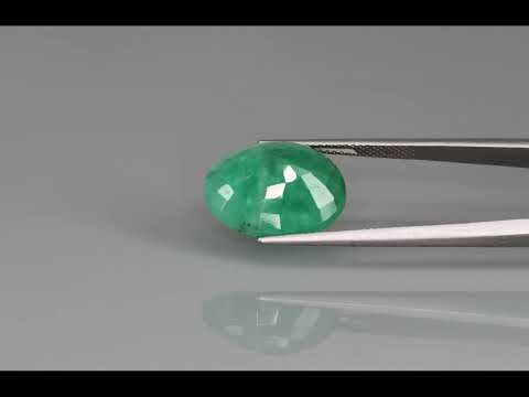Primary video