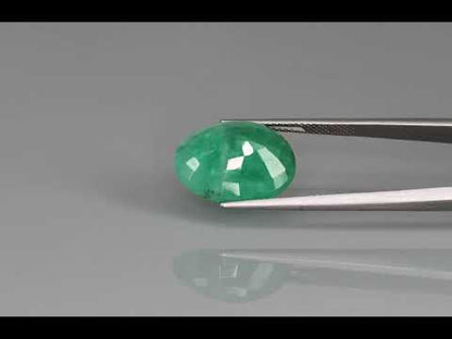 Primary video