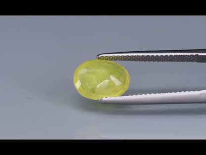 Primary video