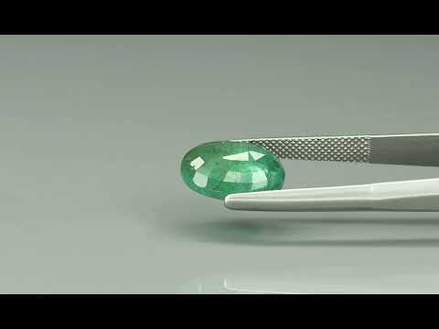 Primary video