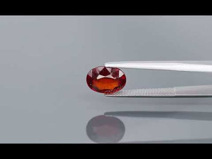 Primary video