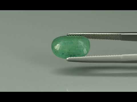 Primary video