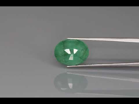 Primary video