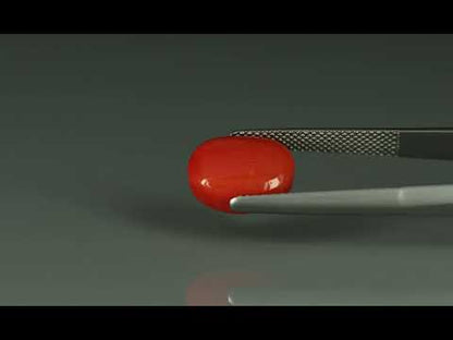 Primary video
