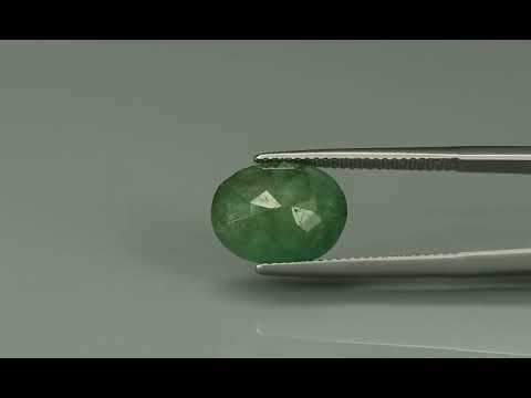 Primary video