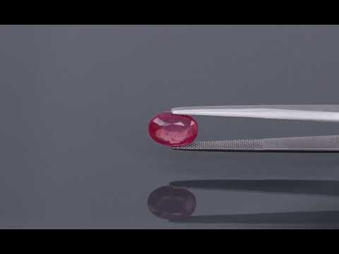 Primary video