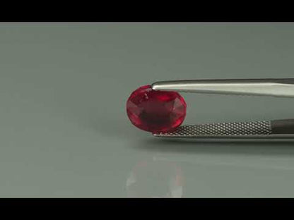 Primary video