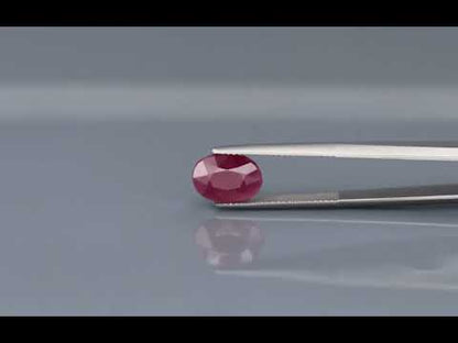 Primary video