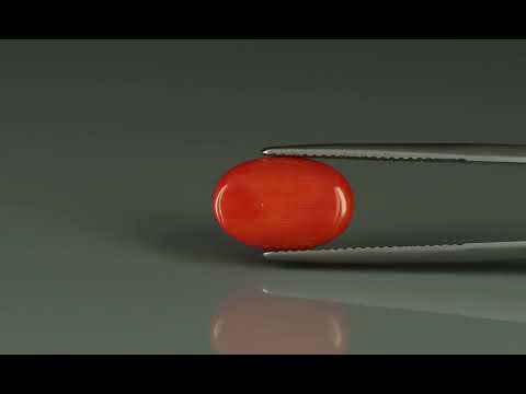 Primary video