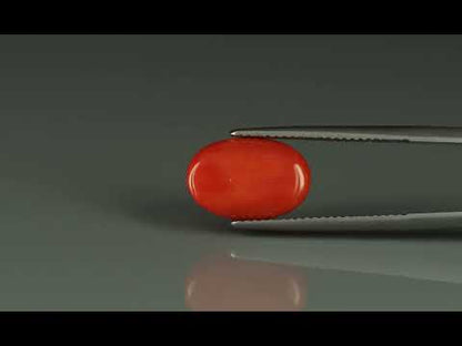 Primary video