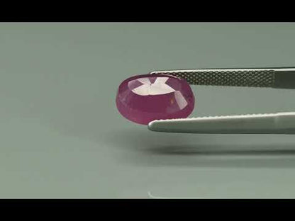 Primary video