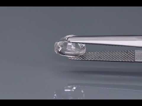 Primary video