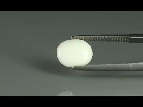 Primary video