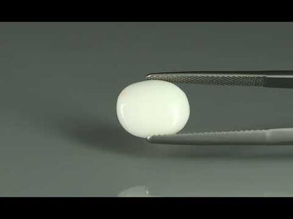 Primary video