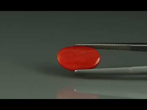 Primary video