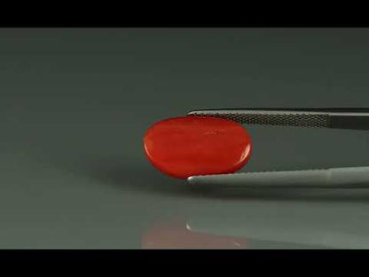 Primary video