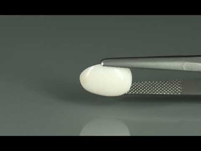 Primary video