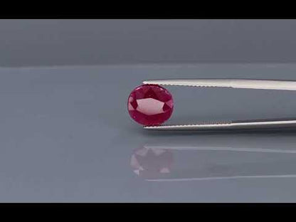 Primary video