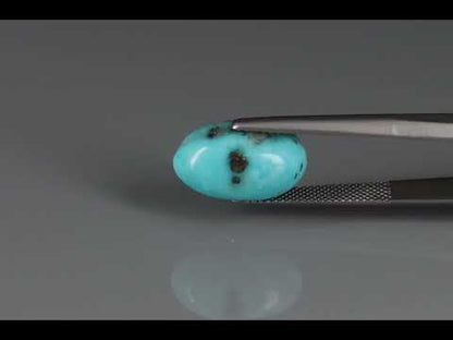Primary video