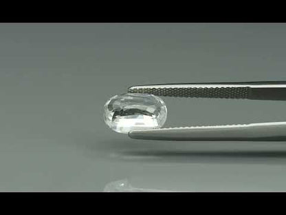 Primary video
