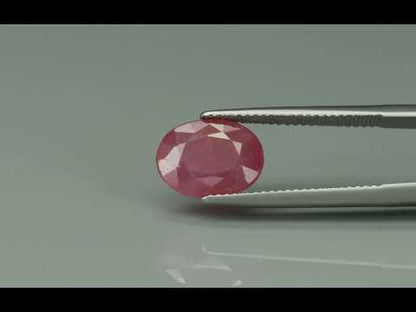 Primary video