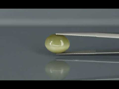 Primary video