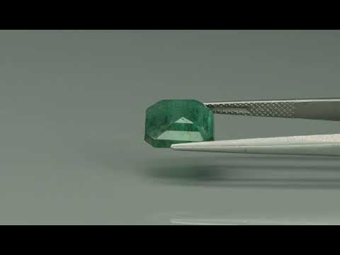 Primary video