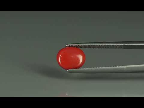Primary video