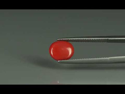 Primary video