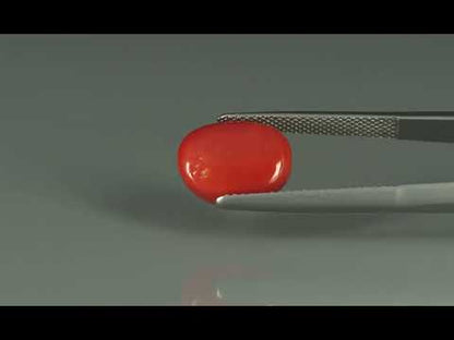 Primary video